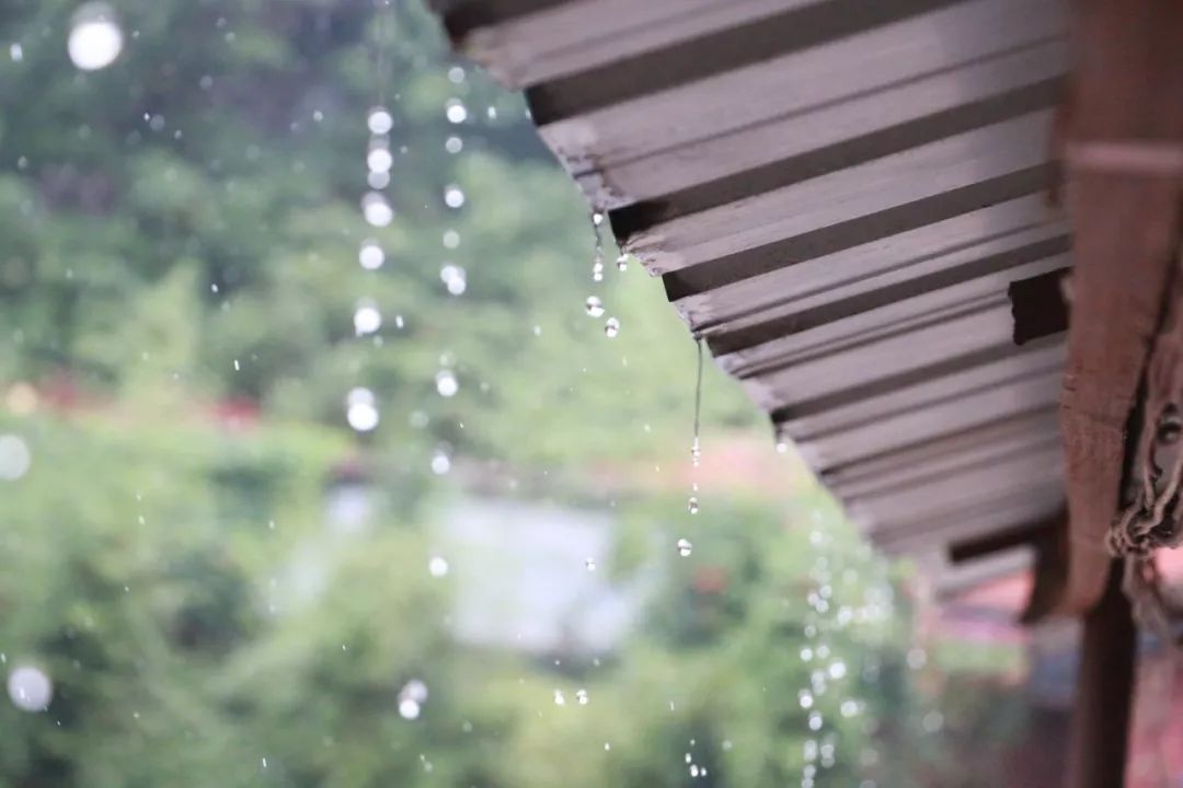 描写秋雨的句子和段落-下雨的有意境的短句子