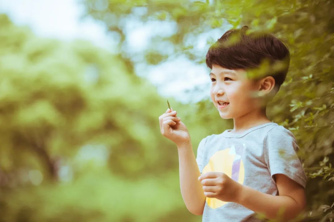 富有哲理的诗有哪些-人生哲理的句子经典诗句