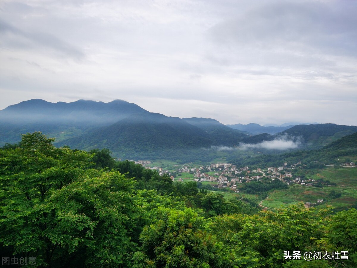 描写夏季的古诗有哪些-赞美夏季的8首古诗词