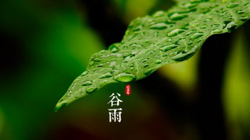 范成大蝶恋花古诗赏析-分享蝶恋花诗文内容和诗意