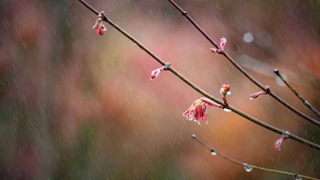 小学写雨的古诗大全-描写夏天雨经典的诗词