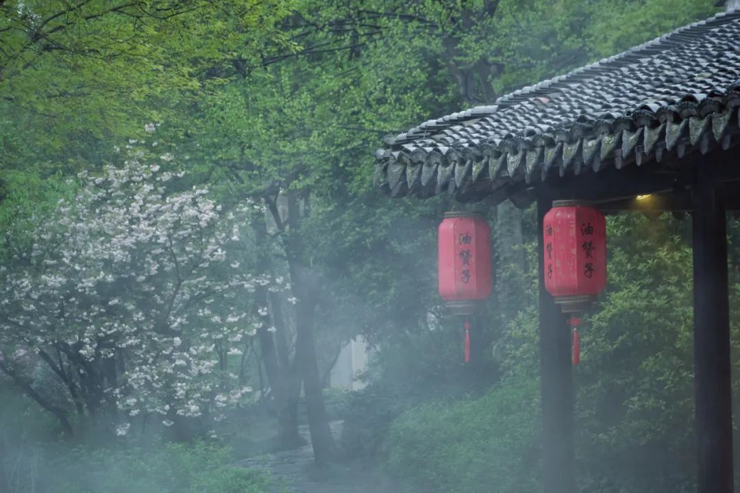 小学写雨的古诗大全-描写夏天雨经典的诗词