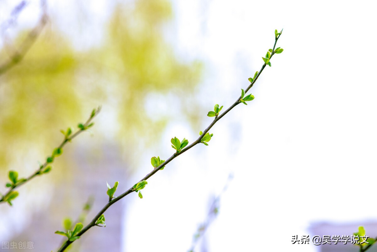 描写花园景色的句子说说-赞美植物园诗词七言