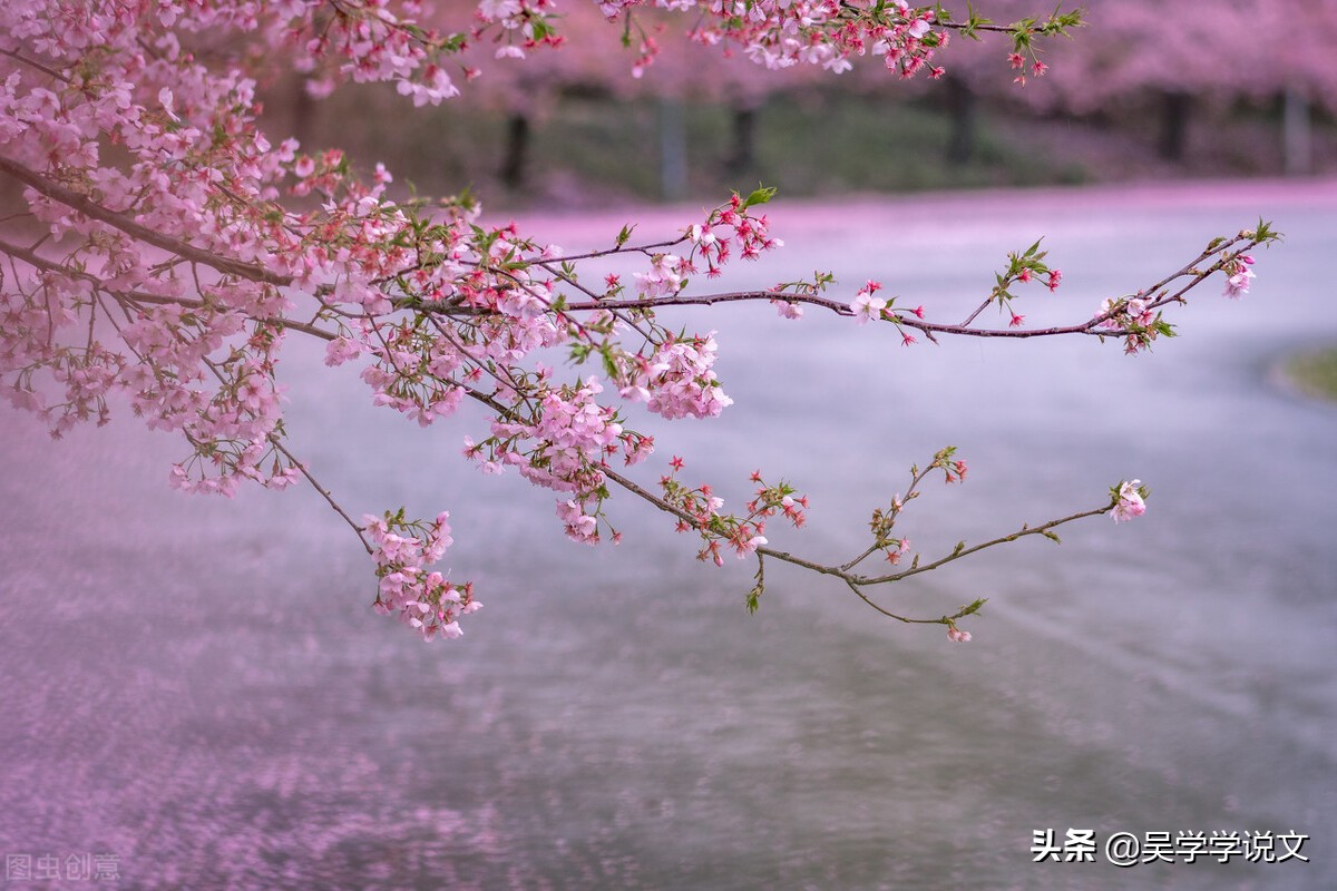 描写花园景色的句子说说-赞美植物园诗词七言