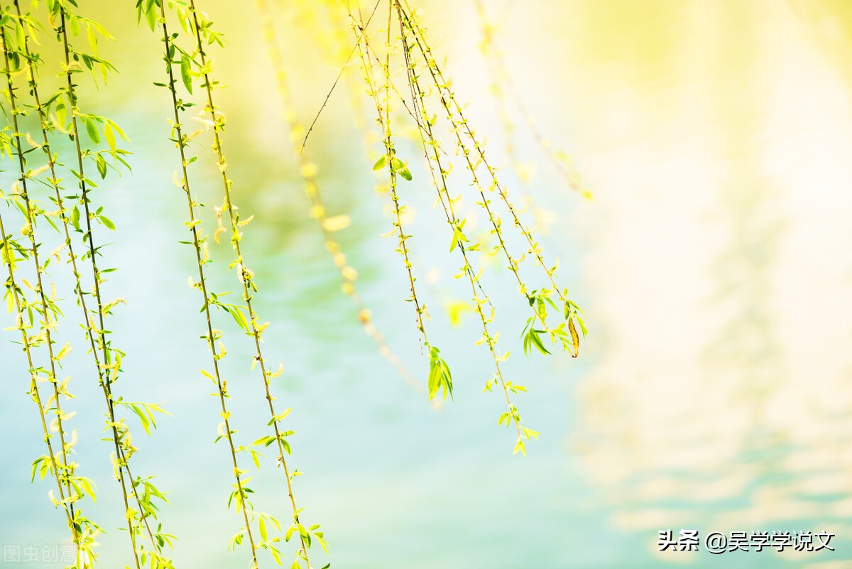 描写花园景色的句子说说-赞美植物园诗词七言