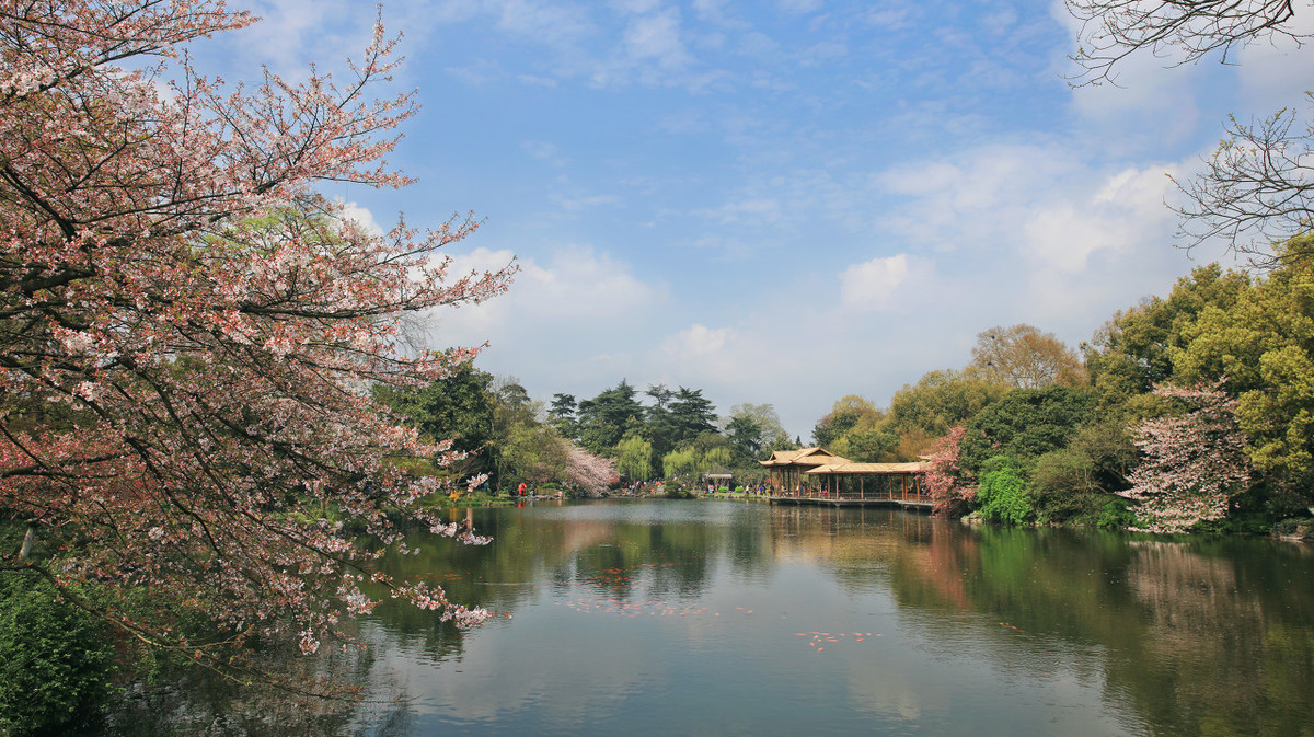 一句话赞美形容西湖美景-西湖发朋友圈唯美句子