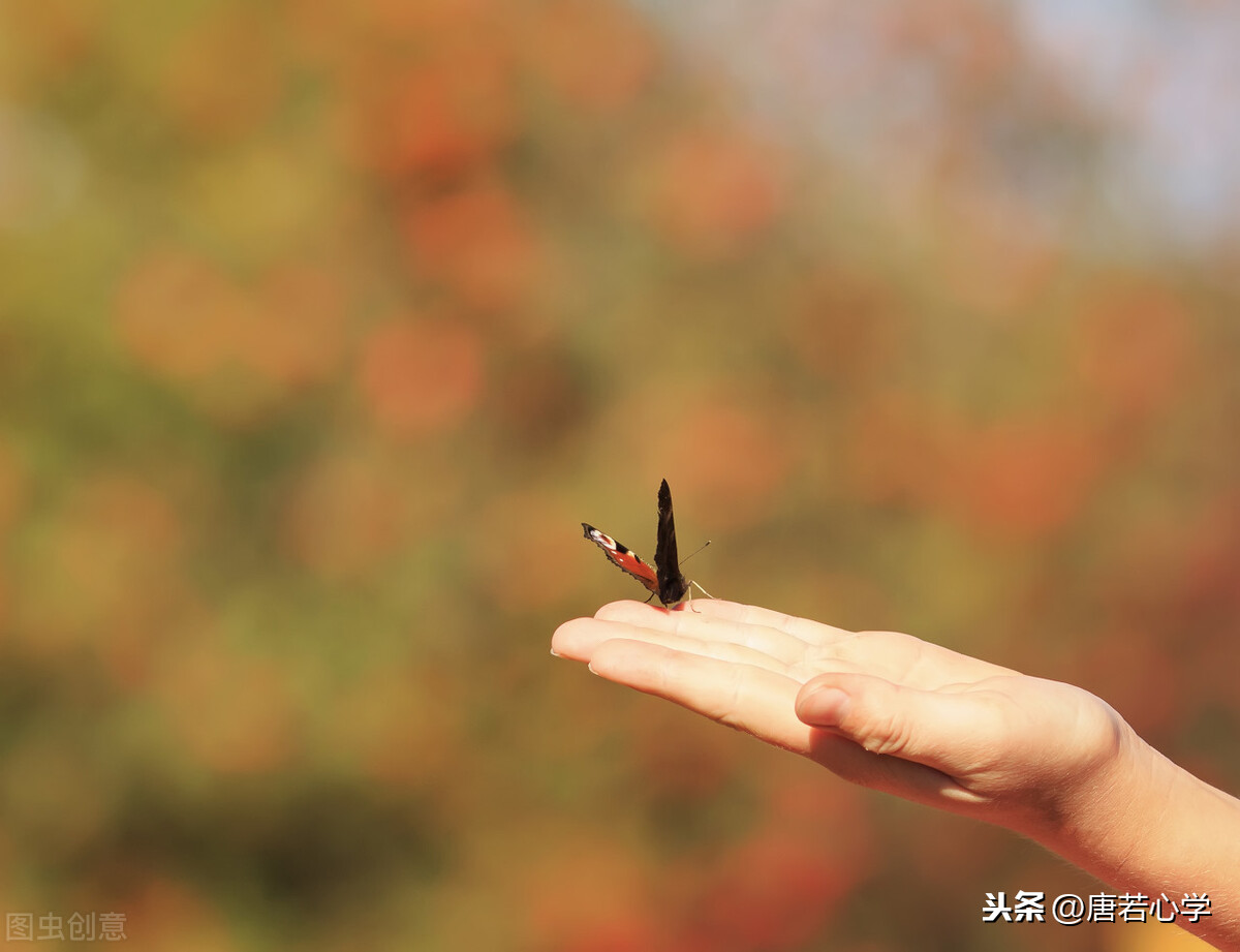 感恩生命的唯美句子-适合发朋友圈感恩的话