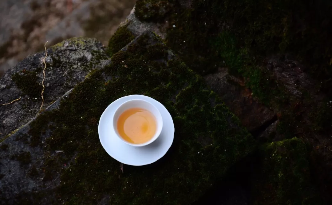 茶与人生的感悟句子-茶悟人生哲理句子分享