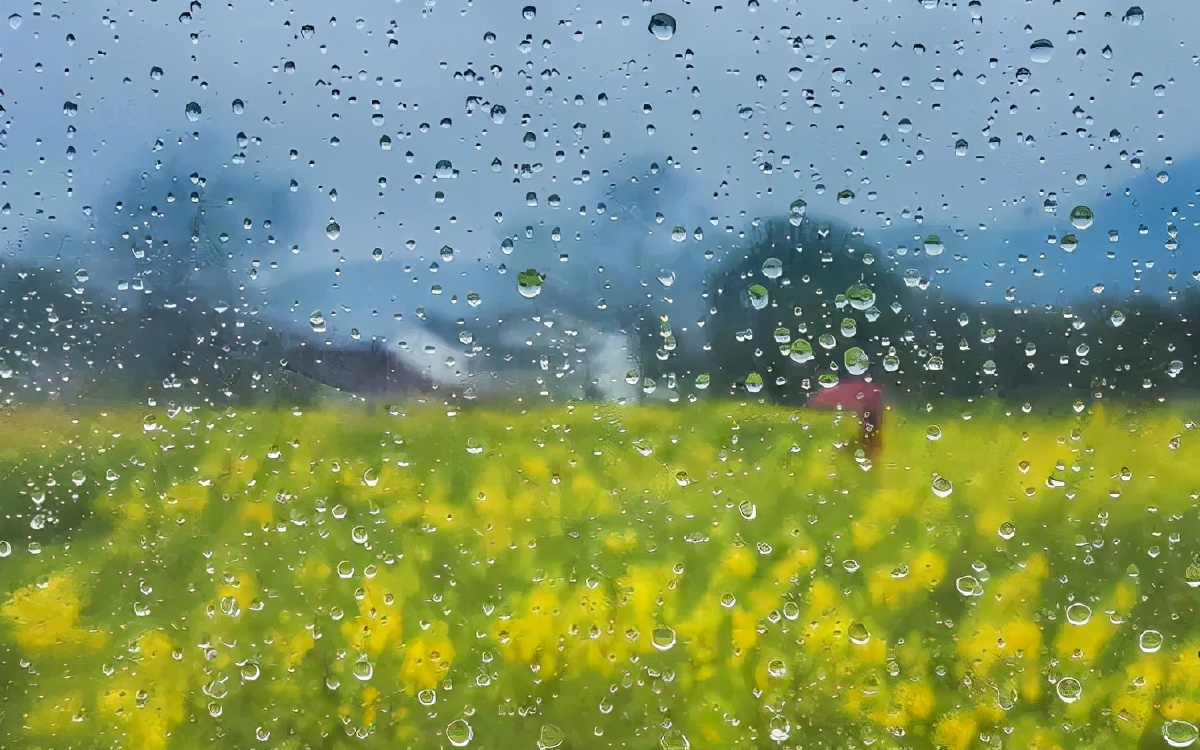 描写雨的古诗有哪些-雨意朦胧的10首古诗词赏析