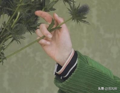 描写春暖花开的句子都有哪些-春暖花开的语句分享