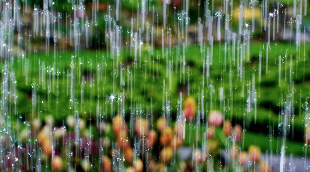 雨下的很大的诗句-描写雨下得很急的诗句