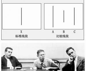 饮酒陶渊明古诗赏析-饮酒全诗内容和诗意解答