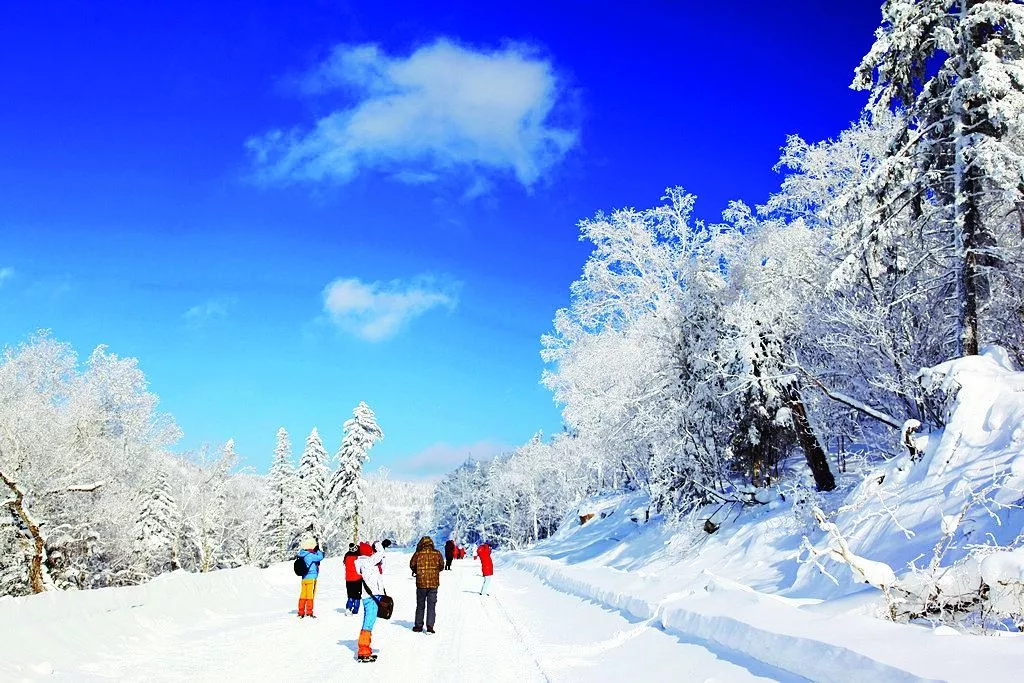 遇间旅游 | 哈尔滨雪乡旅游攻略，领略北国风光在冰雪之间的浪漫