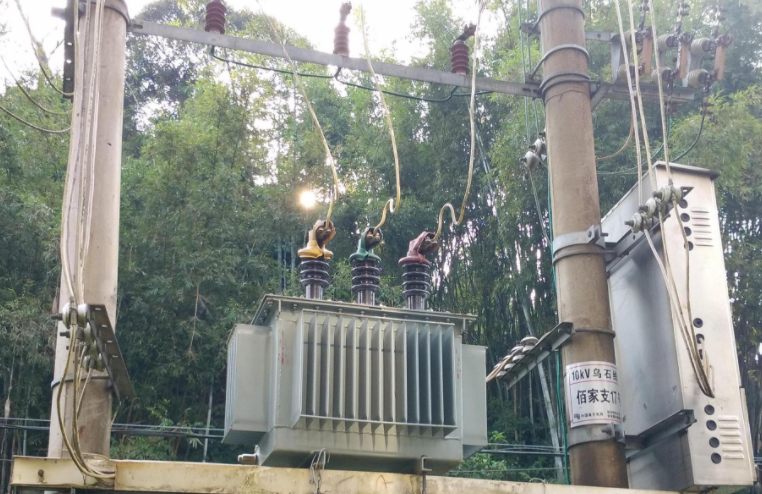 雷庆瑶是谁_雷庆瑶个人资料