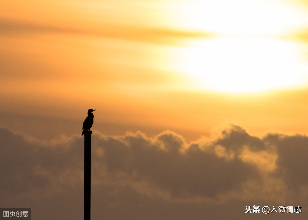 逝者已逝生者如斯什么意思_逝者已逝生者如斯的深层含义