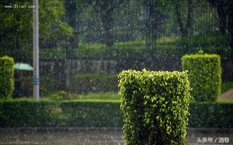 梦见淋雨是什么意思_梦见淋雨的征兆