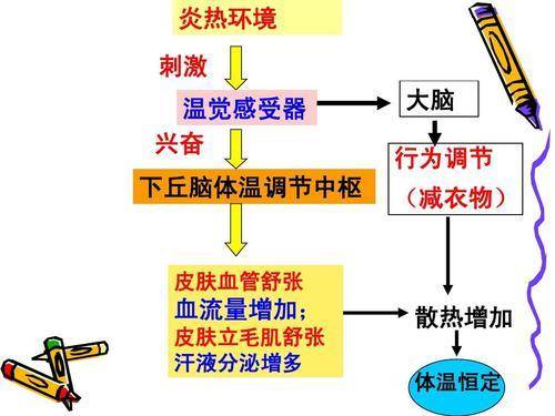 油的沸点是多少度_油的温度介绍