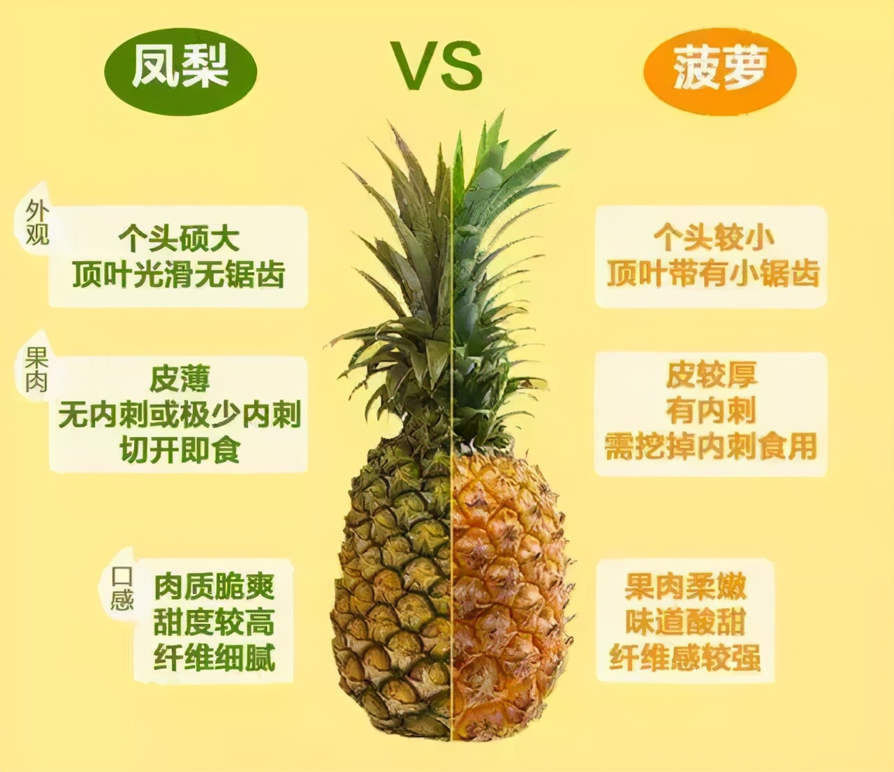 菠萝和凤梨是同一种水果吗_菠萝和凤梨的区别