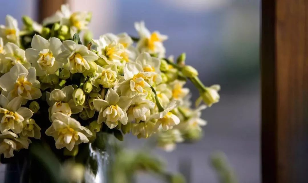 水仙花怎么雕刻_水仙花的雕刻技巧