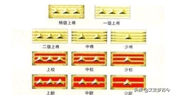 谢晋元是谁_谢晋元个人简介 