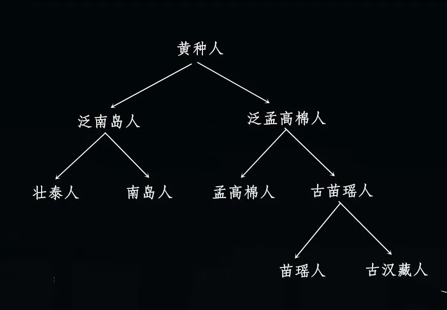 汉族人的起源是什么_汉族人的起源和形成