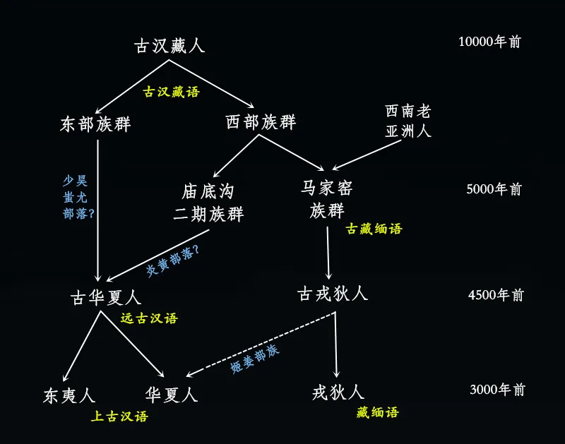 汉族人的起源是什么_汉族人的起源和形成