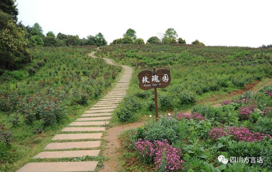 石象湖在哪里_石象湖的地理位置