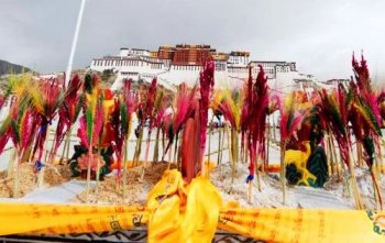 藏族的主要节日有哪些_藏族的主要节日介绍