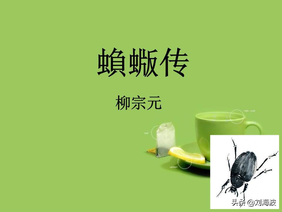 蝜蝂传什么意思_蝜蝂传的原文及翻译