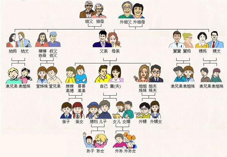 直系亲属有哪些_直系亲属的范围