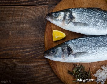 鲅鱼是淡水鱼吗_海水鱼和淡水鱼的区别和营养价值
