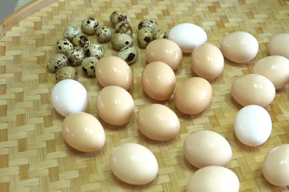 松花蛋怎么做_松花蛋的家常做法