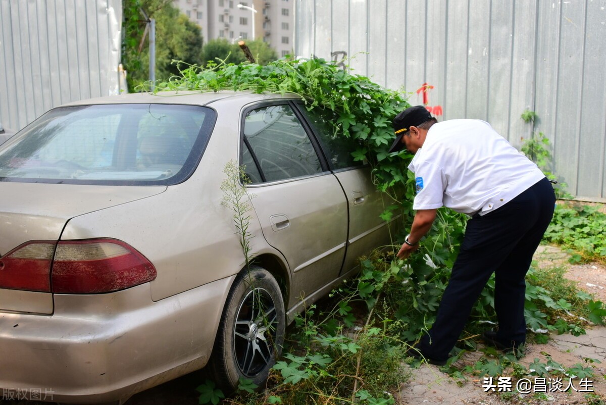 邋遢什么意思_邋遢的通俗解释