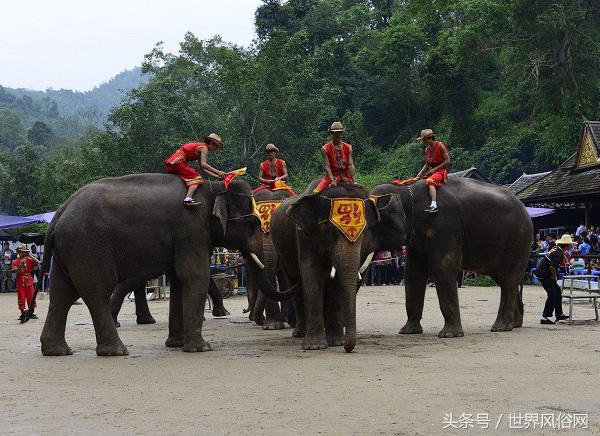 傣族的风俗习惯是什么_傣族的风俗习惯简介