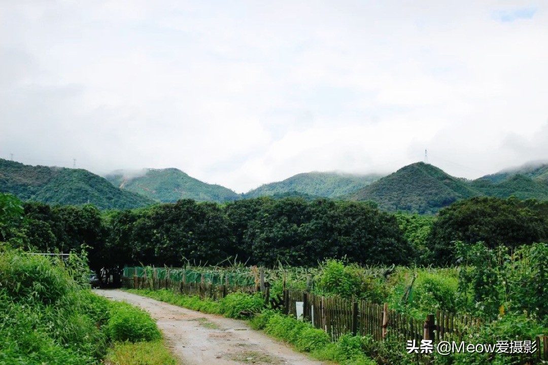 白水寨在哪里_白水寨的位置概况