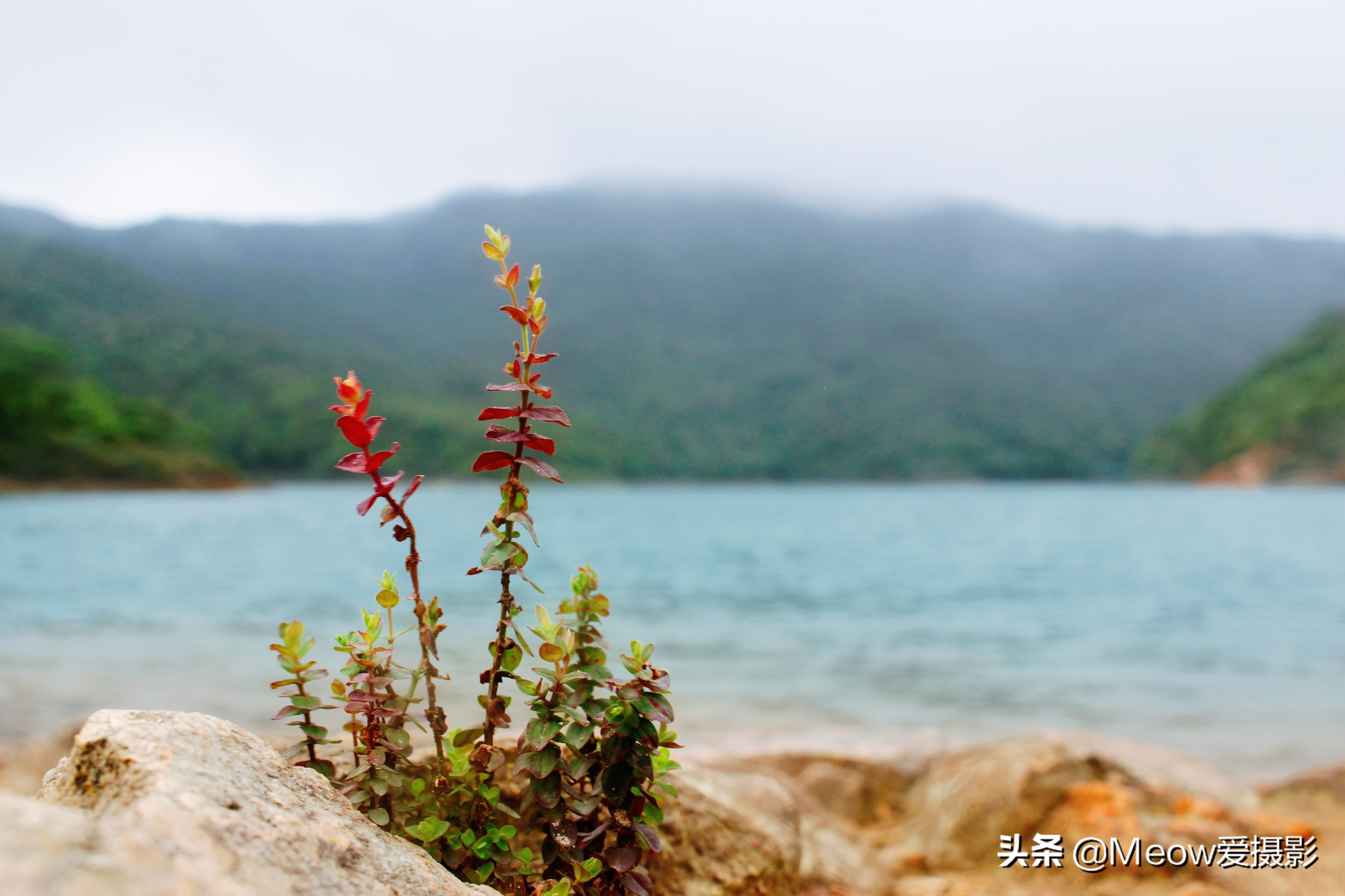 白水寨在哪里_白水寨的位置概况