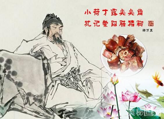 杨万里是哪个朝代的_杨万里朝代介绍及作品