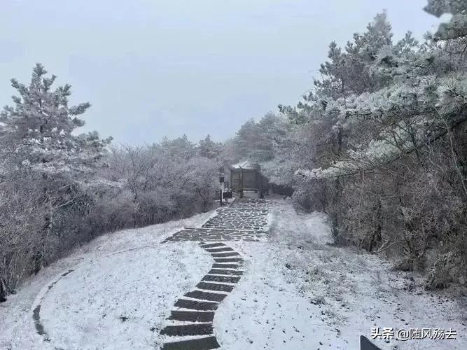 瑞雪兆丰年什么意思_瑞雪兆丰年的含义和由来