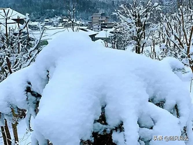 瑞雪兆丰年什么意思_瑞雪兆丰年的含义和由来