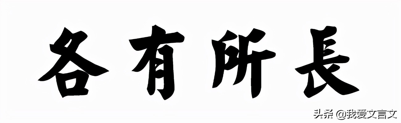 物有短长什么意思_物有短长文言文原文及解析