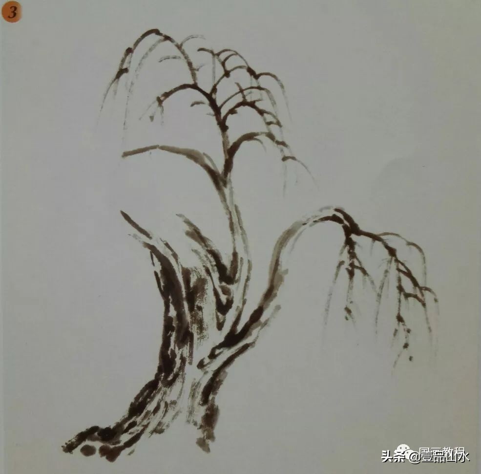 柳树怎么画_柳树的画法教程