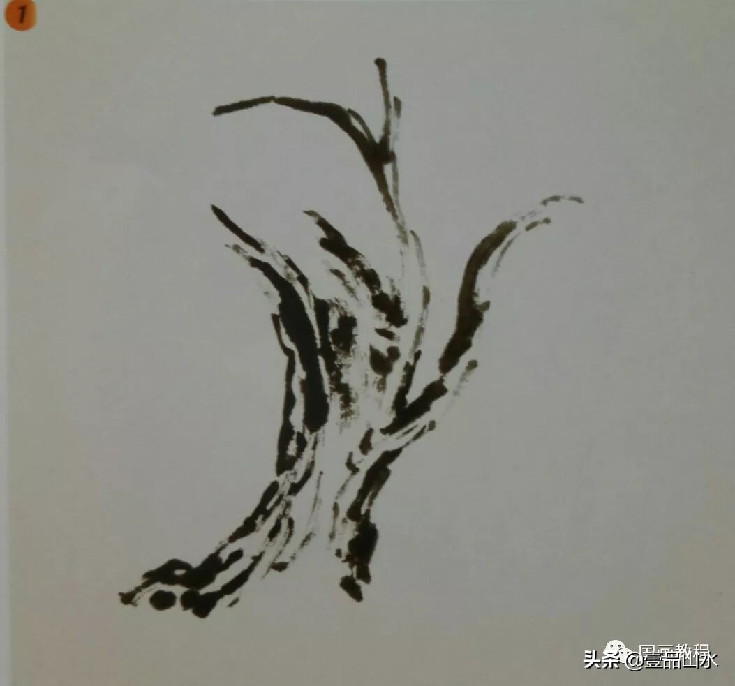 柳树怎么画_柳树的画法教程