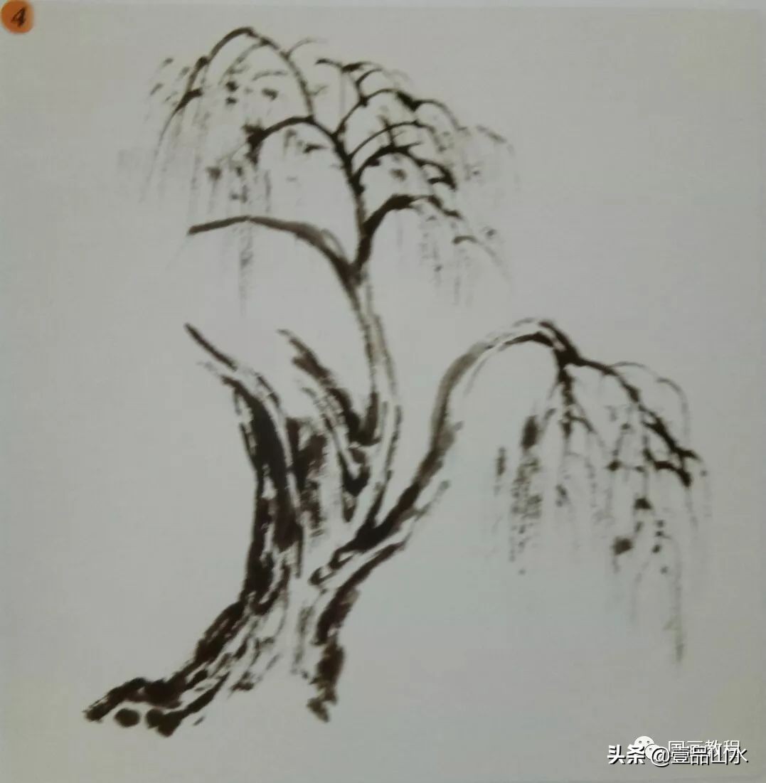 柳树怎么画_柳树的画法教程