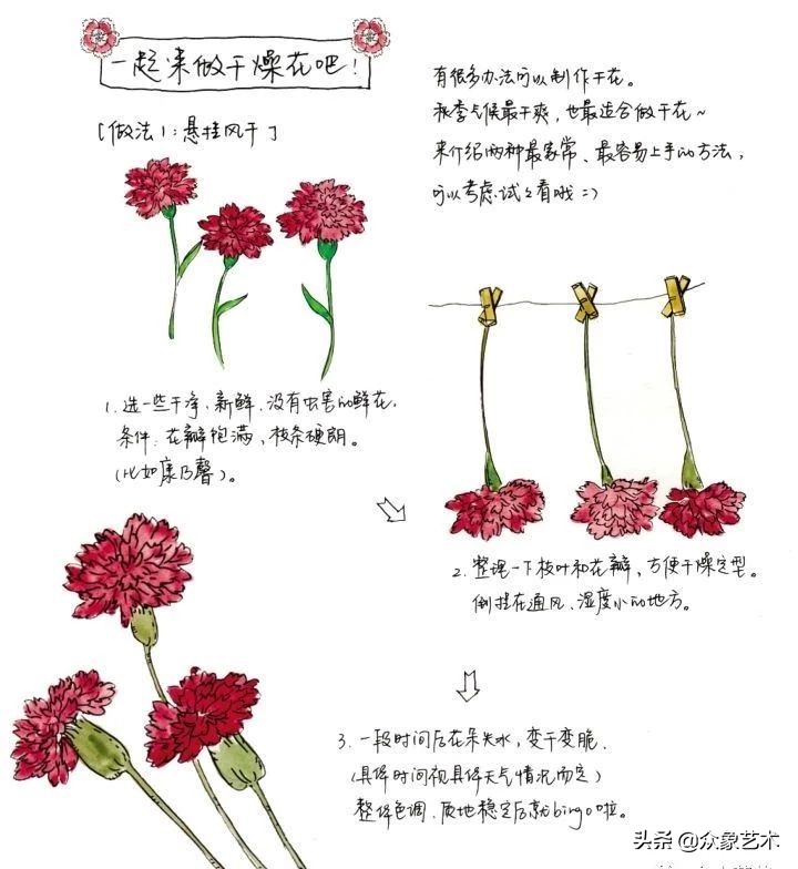 叶脉干花怎么制作_叶脉干花的制作方法