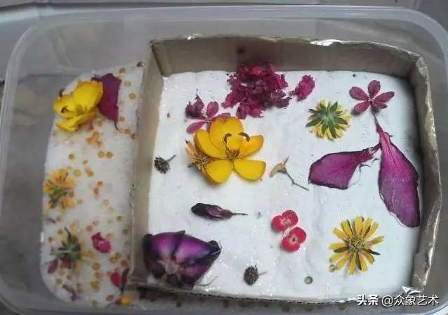 叶脉干花怎么制作_叶脉干花的制作方法