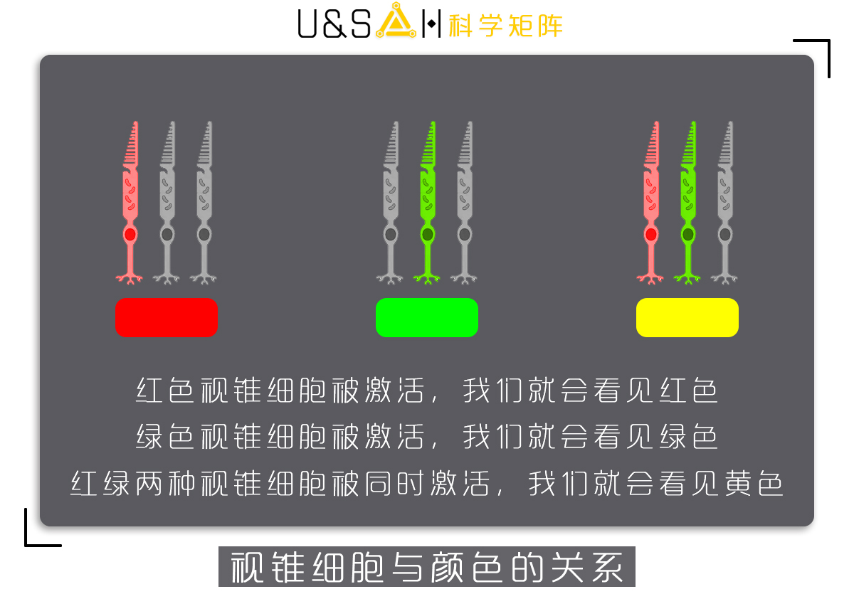 三原色是哪三种颜色_你真的了解三原色吗