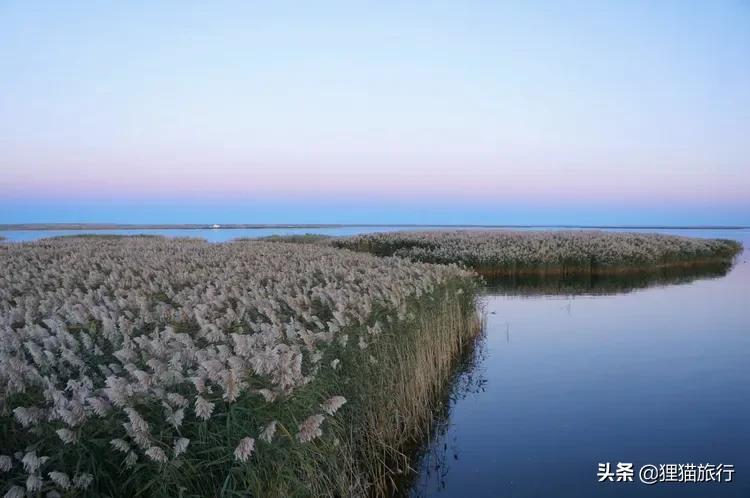 额济纳旗属于哪个市_额济纳旗的基本概况