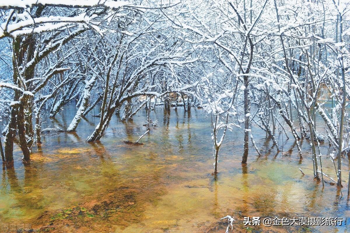 九寨沟位于哪个省_九寨沟的位置及美景