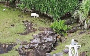 钓鱼岛在哪个省哪个市_钓鱼岛的位置概况