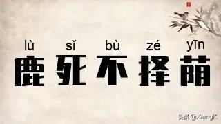 鹿死不择荫什么意思_鹿死不择荫的典故